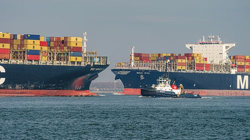 MSC Eva ontmoet zusterschip MSC Benedetta XIII.