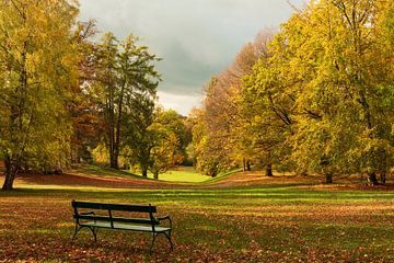 Bench in autumn forest by Jaap v Bijsterveldt