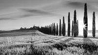 Sonnenaufgang Poggio Covili, Toskana von Henk Meijer Photography Miniaturansicht