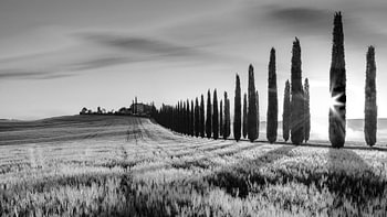 Zonsopkomst in Zwart-Wit bij Poggio Covili, Toscane