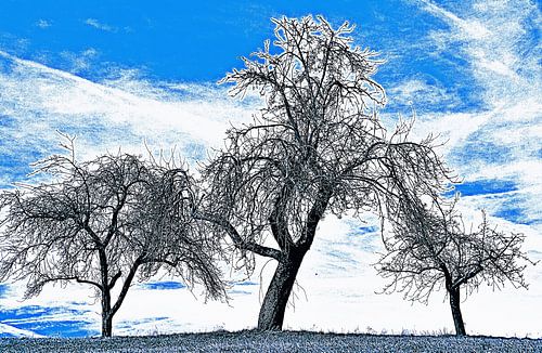 Fruit trees in winter mixed media