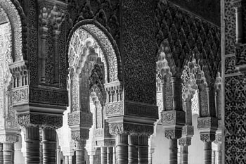 Bogen in het Alhambra (zwartwit) 
