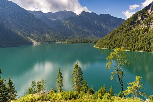 de Plansee in Tirol