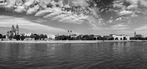 Magdeburg panorama (black and white)