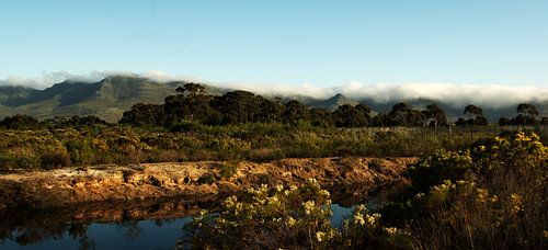 Landschap #pantheraafrica