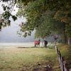 Paarden in de weide van Jolanda de Leeuw