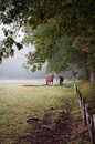 Paarden in de weide van Jolanda de Leeuw thumbnail