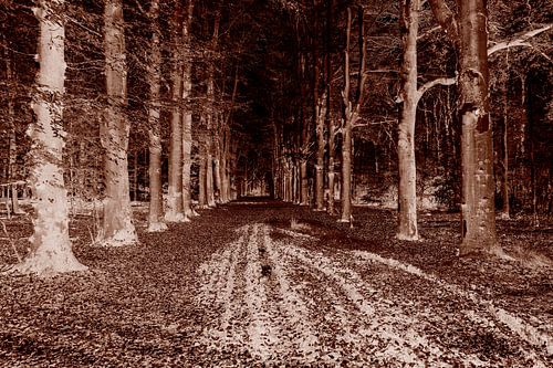 Ketliker Skar. von Jakob Huizen van