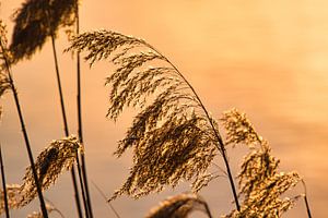 Sommerzeit