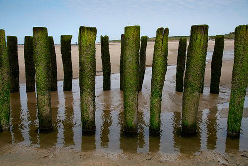 Breakwaters at Zoutelande