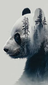 Pandabär / Pandabär