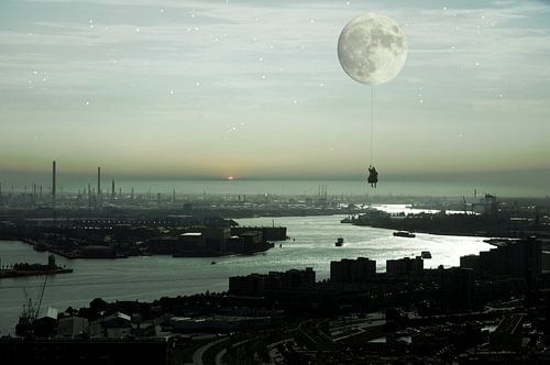 Fly away by Jeannette Penris