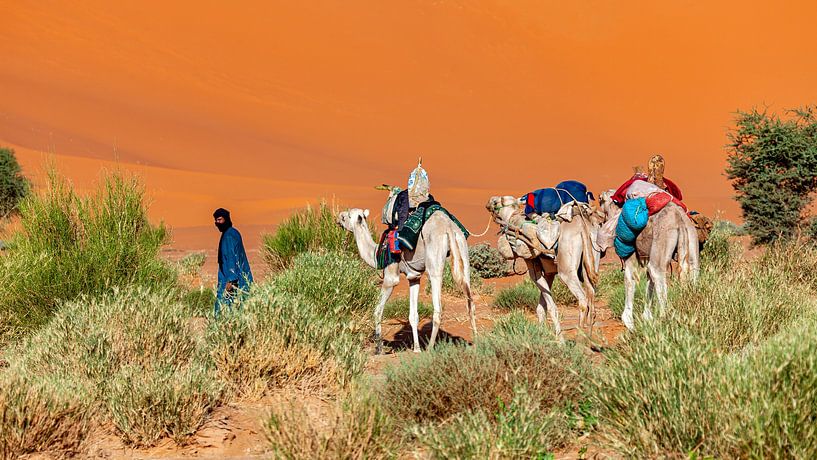 Caravan in de Sahara van Roland Brack