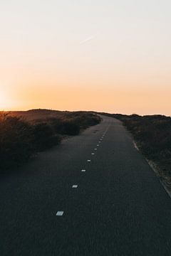De weg door de duinen van Ouddorp van Merel Tuk