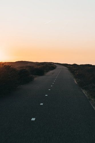 De weg door de duinen van Ouddorp