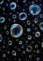 Bubbels