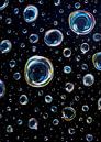 Bubbels van Kristin Adele thumbnail