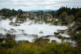 Whakarewarewa, vallée géothermique, Nouvelle-Zélande sur Nynke Altenburg