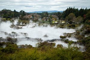 Whakarewarewa, Geothermisches Tal, Neuseeland