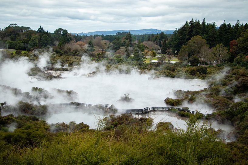 Whakarewarewa, Geothermisches Tal, Neuseeland von Nynke Altenburg