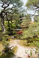 Japanse tuin 