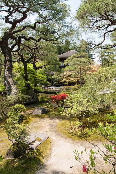 Japanse tuin  van Mooi-foto van Well