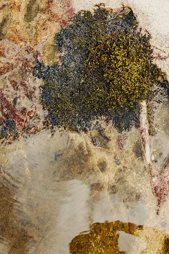 MOS BOOM shaped by nature