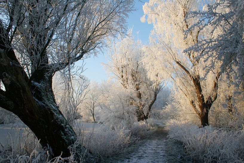 Een bijzondere winterochtend. von Rens Kromhout