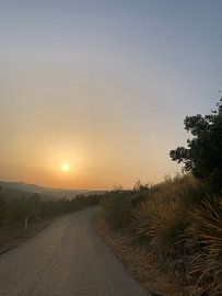 Golden roads of inland Spain by LaLuna ART