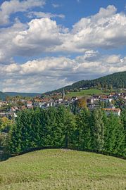 Vue sur Baiersbronn en Forêt-Noire sur Peter Eckert