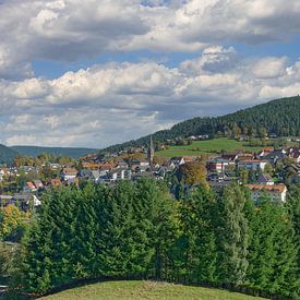 Blick auf Baiersbronn im Schwarzwald von Peter Eckert