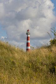 In the middle the lighthouse by Bart Zeegers