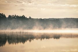 Mystischer Morgennebel über einem spiegelglatten See in Schweden und Waldsilhouette. von Martin Köbsch