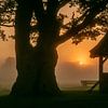 De Kroezeboom bij Fleringen bij zonsopkomst van Ron Poot