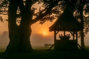 The Kroezeboom at Fleringen at sunrise by Ron Poot