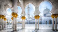 Pillars of Sheikh Zayed van Maarten Drupsteen thumbnail