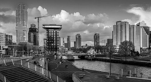 Rotterdam skyline