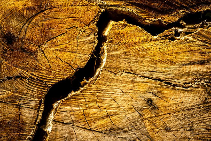 Crack in wood by Dieter Walther
