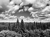 The Eifel from the viewpoint Dietzenley 1 black and white by Jörg Hausmann thumbnail