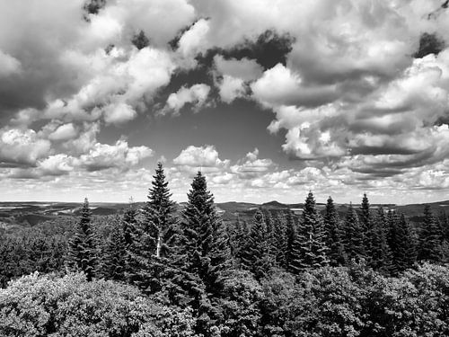 Die Eifel vom Aussichtspunkt Dietzenley 1 schwarzweiß