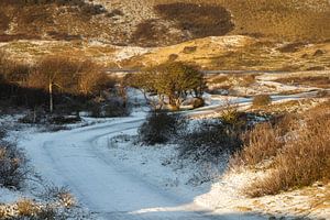 Winterlandschaft Noordhollands Duinreservaat Bergen aan Zee von Bram Lubbers