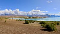 Lake Tekapo: New Zealand's Serene Blue Lake