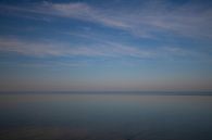 Horizon van Manon van Althuis thumbnail
