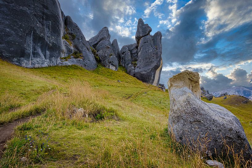 Castle Hill, New Zealand by Rietje Bulthuis