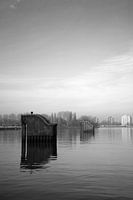 Paysage aquatique