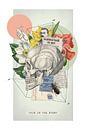 This is the Story van Marja van den Hurk thumbnail