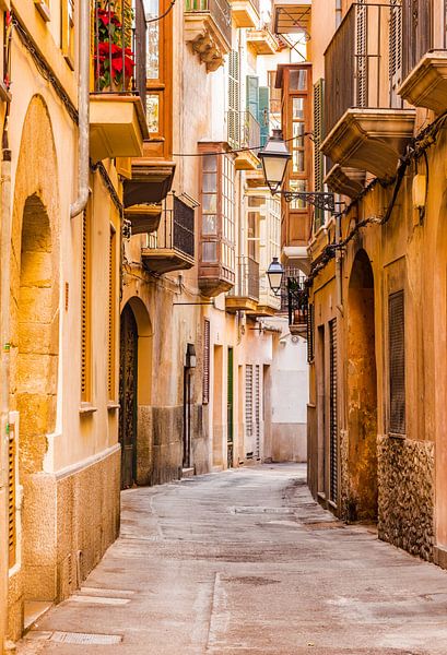 Straat in de oude stad van Palma de Mallorca, Spanje Balearen van Alex Winter
