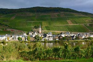 Zell-Merl an der Mosel