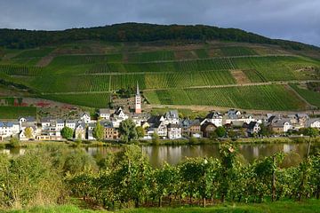 Zell-Merl on Moselle