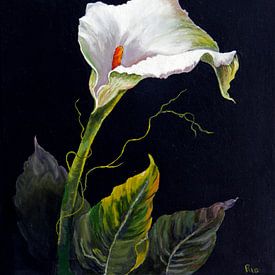 Anthurium von Ria Butter - Gotje